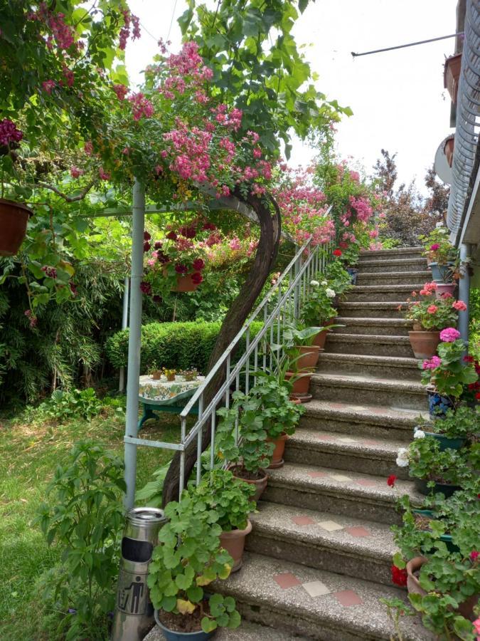 Hotel Valiko House In Telavi Esterno foto